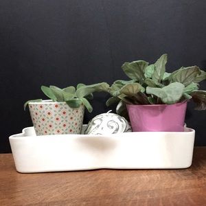 W.C. California Pottery flower pot white